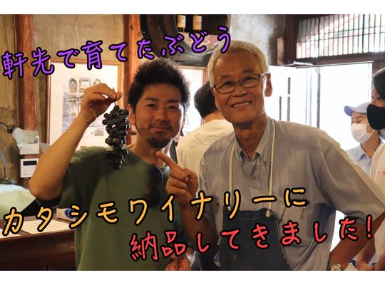 カタシモワイナリー　アイキャッチ