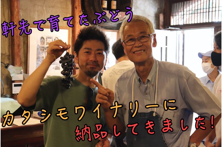カタシモワイナリー　アイキャッチ